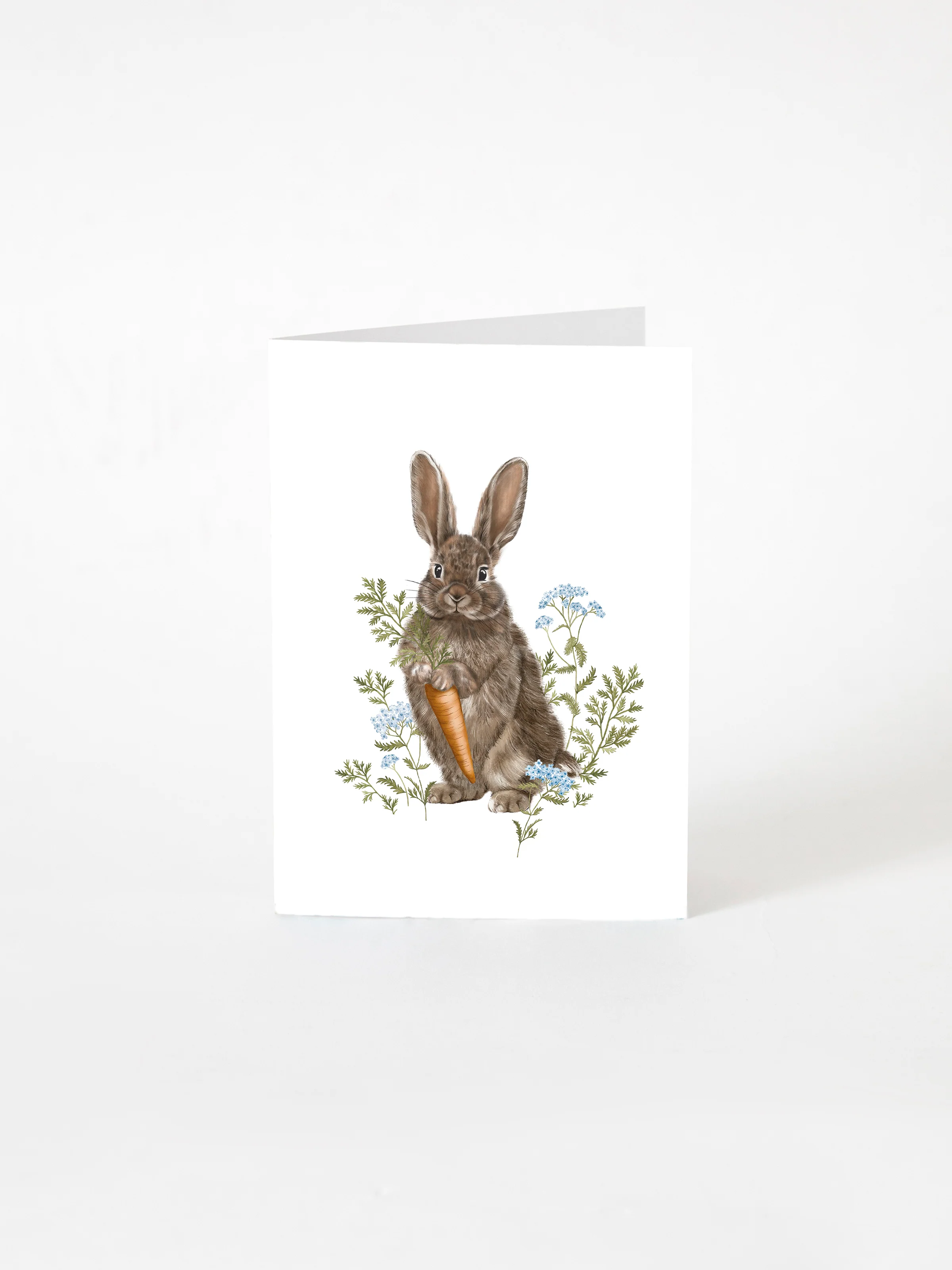 Bunny Greeting Card